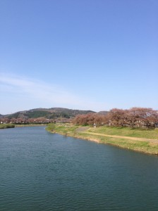 川沿い