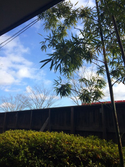 一番ﾃｰﾌﾞﾙ