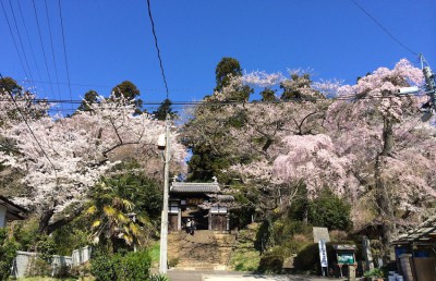 大年寺