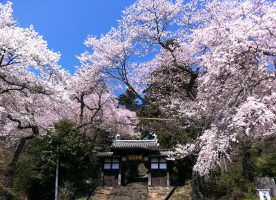 大年寺