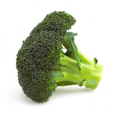 Single broccoli floret isolated on white background with soft drop shadow.